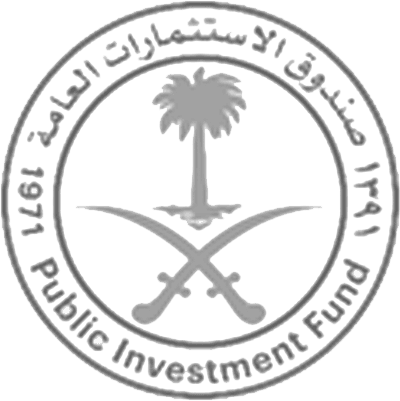 صندوق الاستثمارات العامة